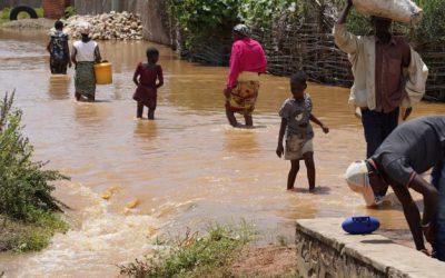 AN URGENT CALL FOR ASSISTANCE